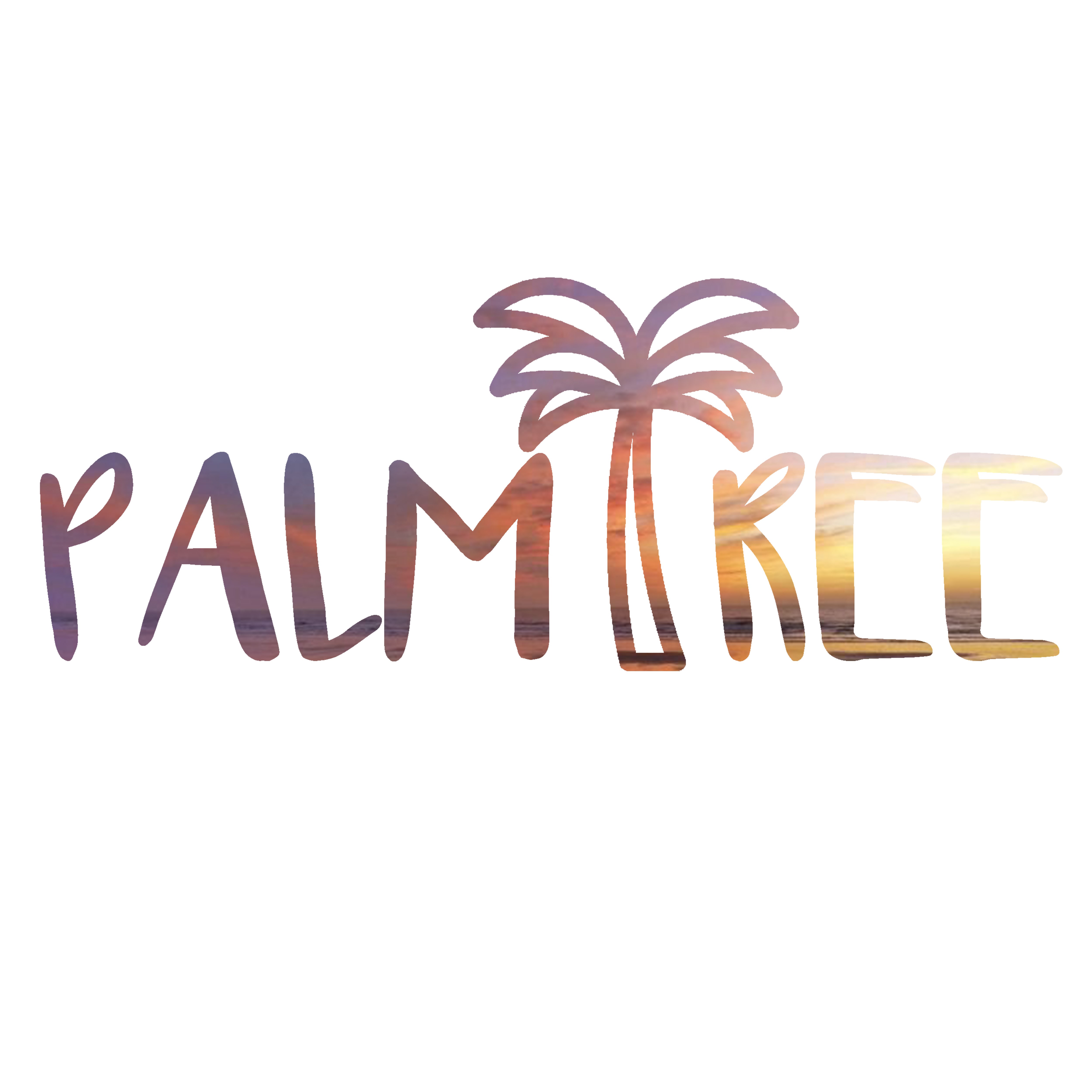 Palm Tree